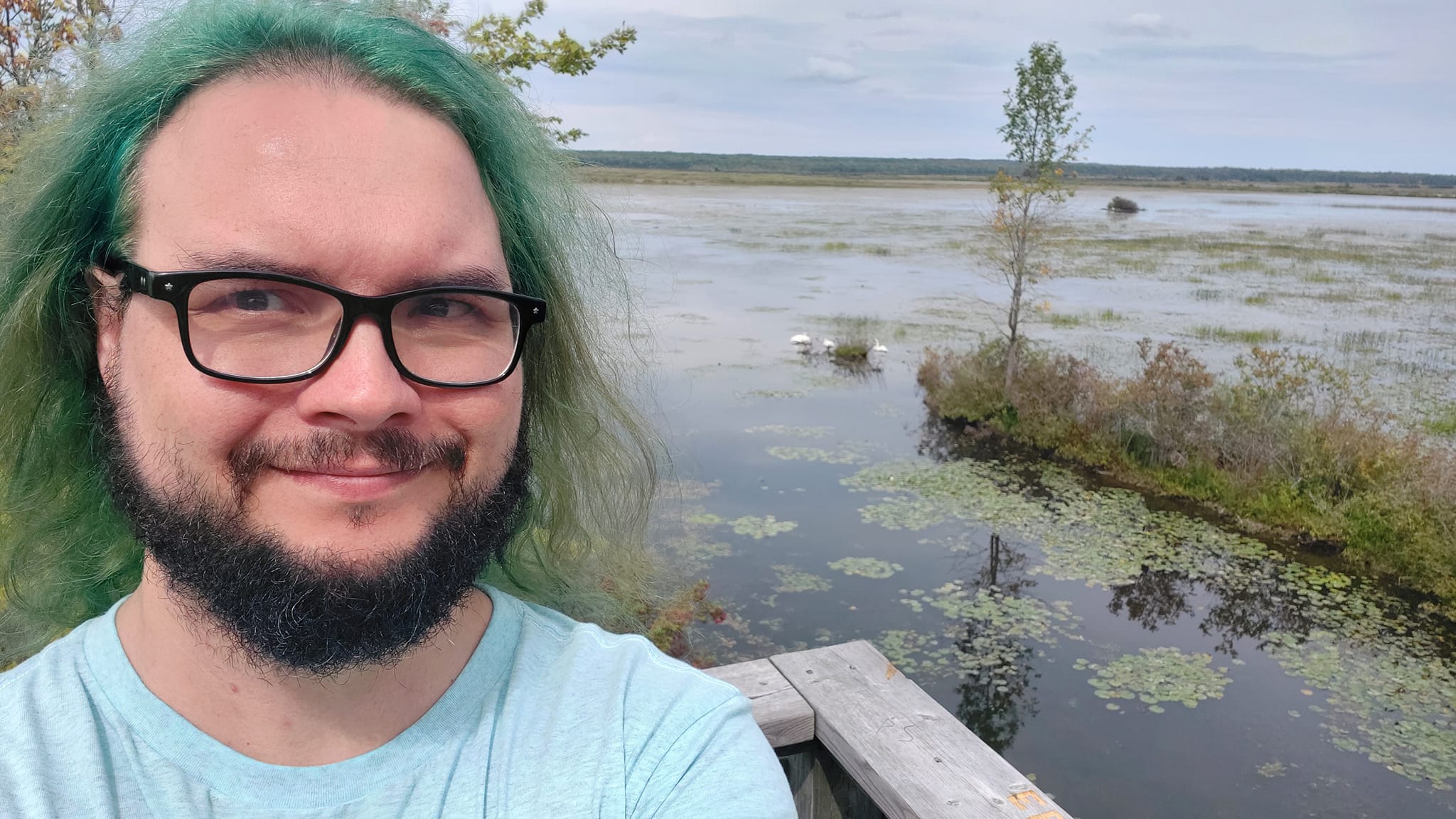 A man with green hair stands in front of some swimming swans, Photo 6